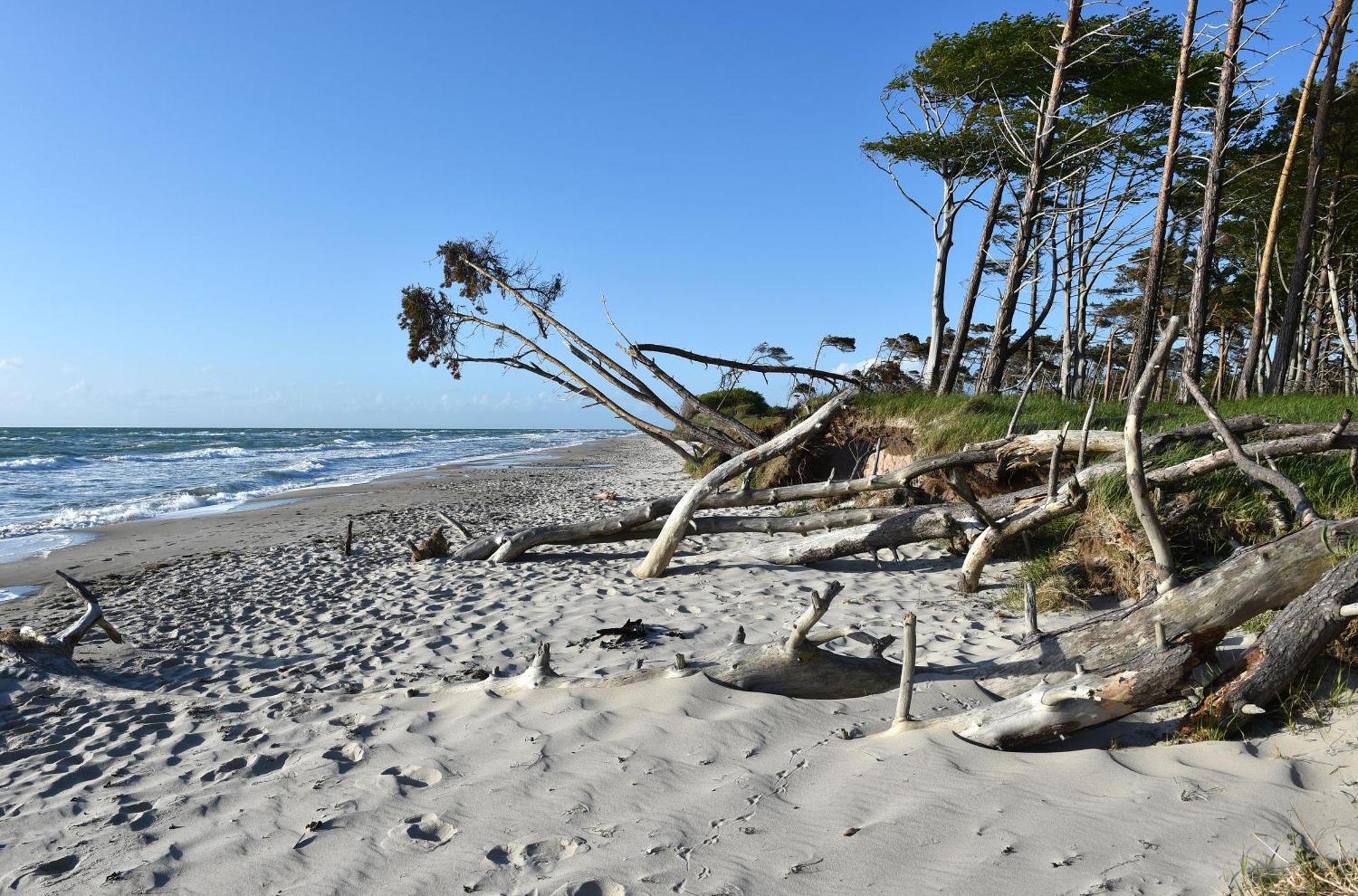 Strand Zingst Eksteriør billede