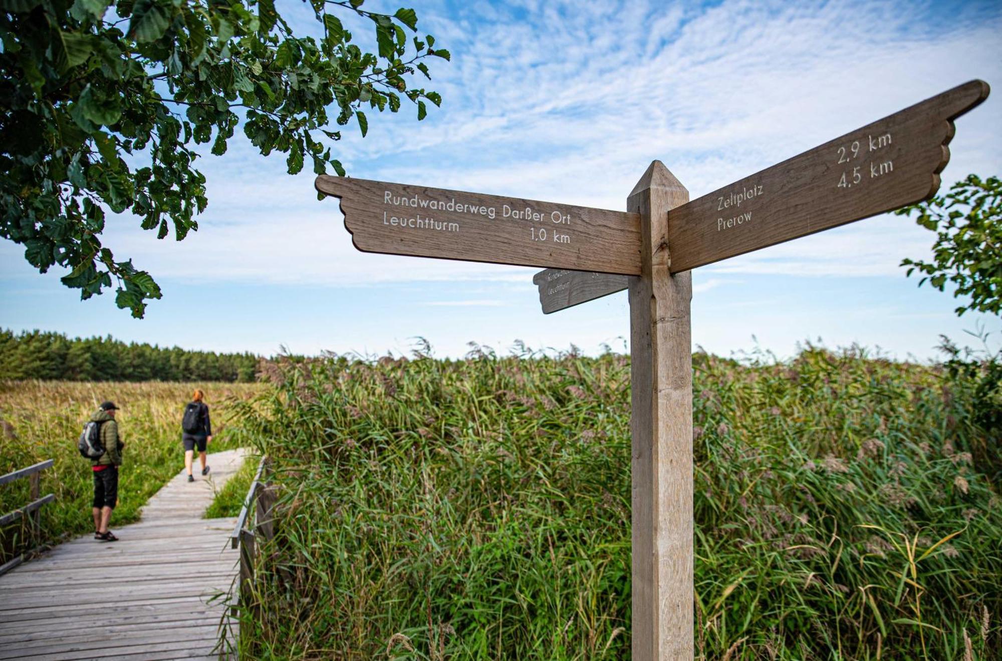 Strand Zingst Eksteriør billede